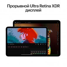 iPad Pro (M4, 2024) 11" 